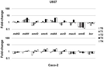 Expression Profile of Multidrug Resistance Efflux Pumps During Intracellular Life of Adherent-Invasive Escherichia coli Strain LF82